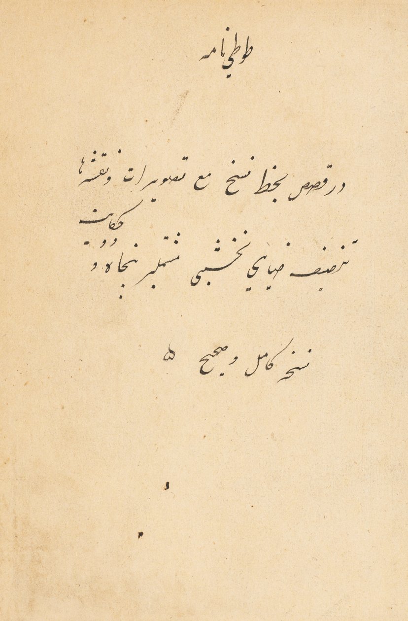 Tuti-Nama Mesék egy papagájról, c. 1560. alkotó: Unbekannt