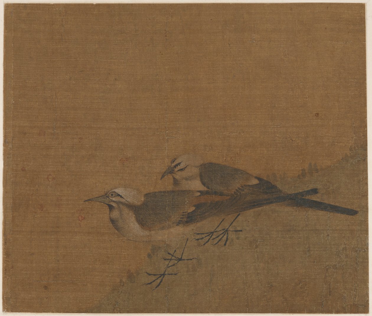 Két fürtös wagtail, Yuan-dinasztia, 14. század. alkotó: Unbekannt