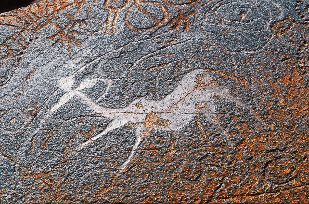 Twyfelfontein sziklafestmények, DAMARALAND, NAMIBIA alkotó: Unbekannt