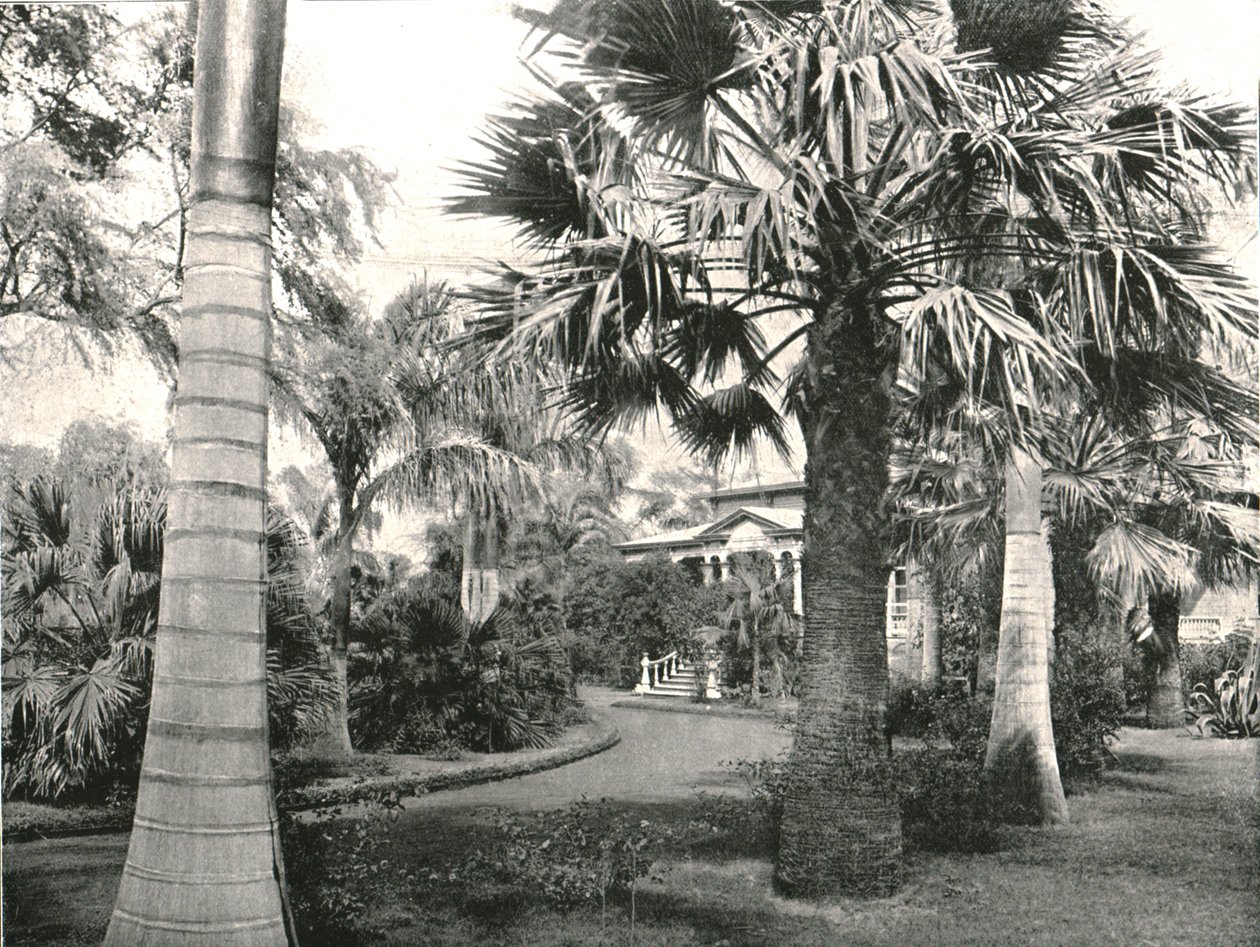 Tipikus hawaii udvar, Honolulu, USA, 1895. alkotó: Unbekannt