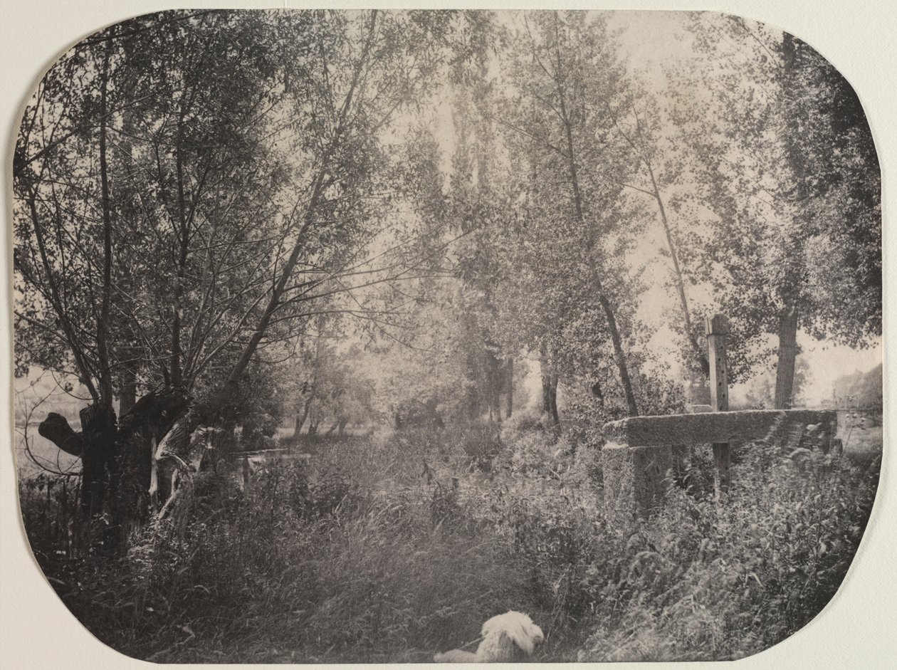 Untitled Táj kutyával, c. 1910. alkotó: Unbekannt
