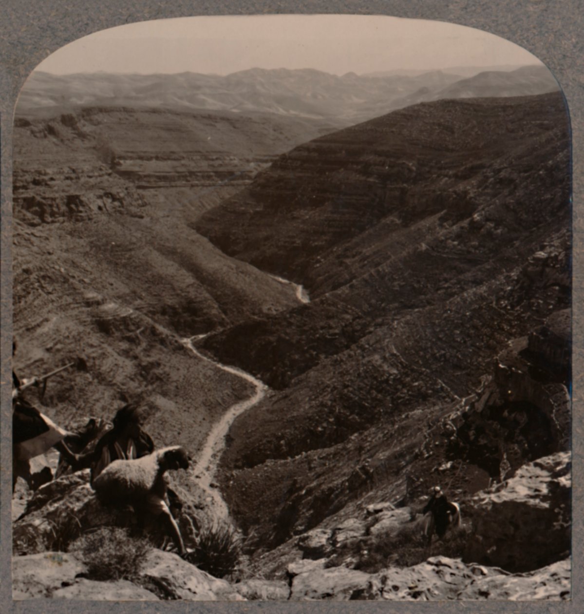 Az Arno völgye, pásztor és juhok az előtérben, 1900 alkotó: Unbekannt