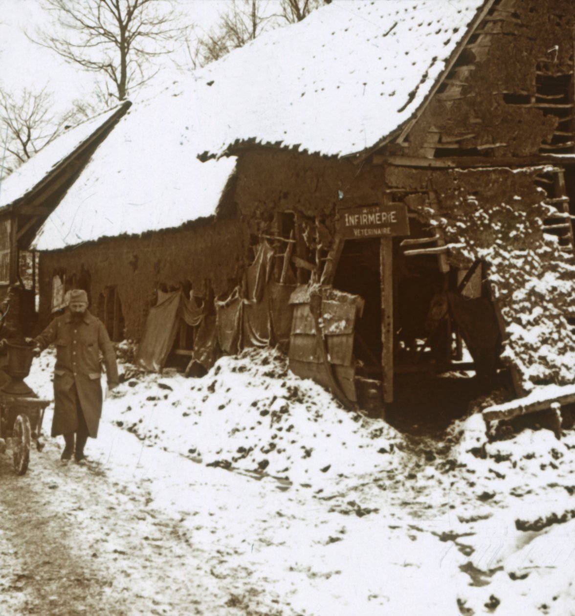 Lovak állatorvosi állomása, Calonne, Észak-Franciaország, c1914-c1918 alkotó: Unbekannt