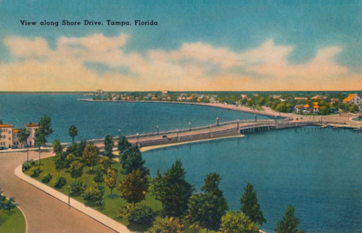 Kilátás a Shore Drive mentén, Tampa, Florida, 1940-es évek alkotó: Unbekannt