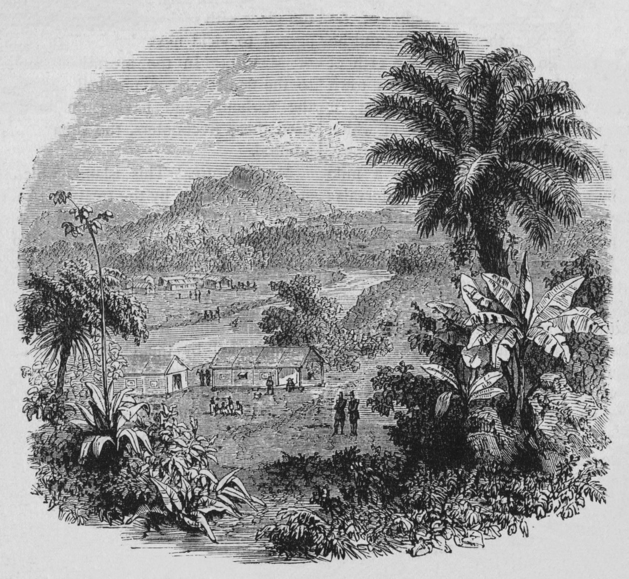 Nézd meg Cayenne-ben, 1880 alkotó: Unbekannt