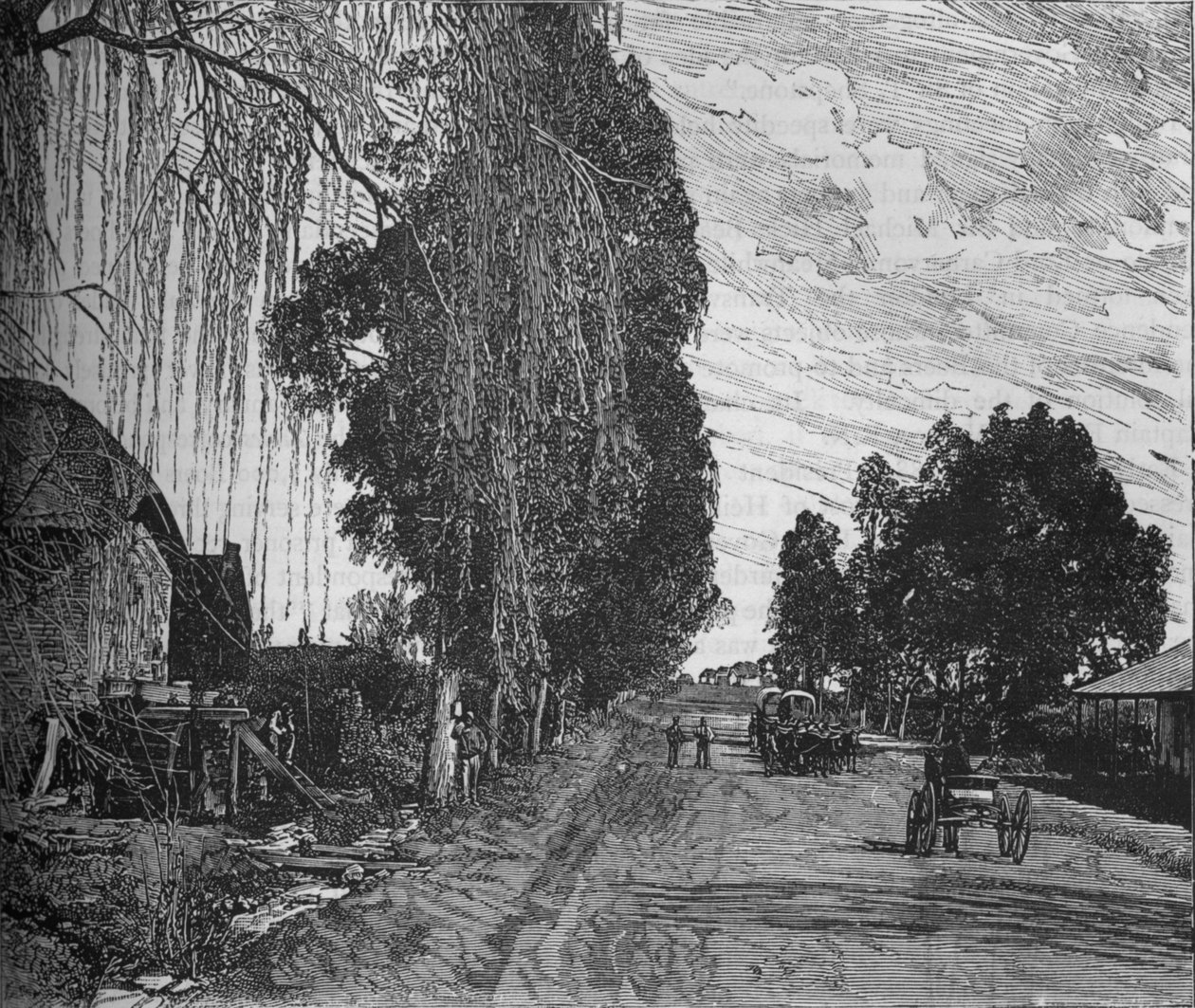Kilátás Pretoria közelében, c1880 alkotó: Unbekannt