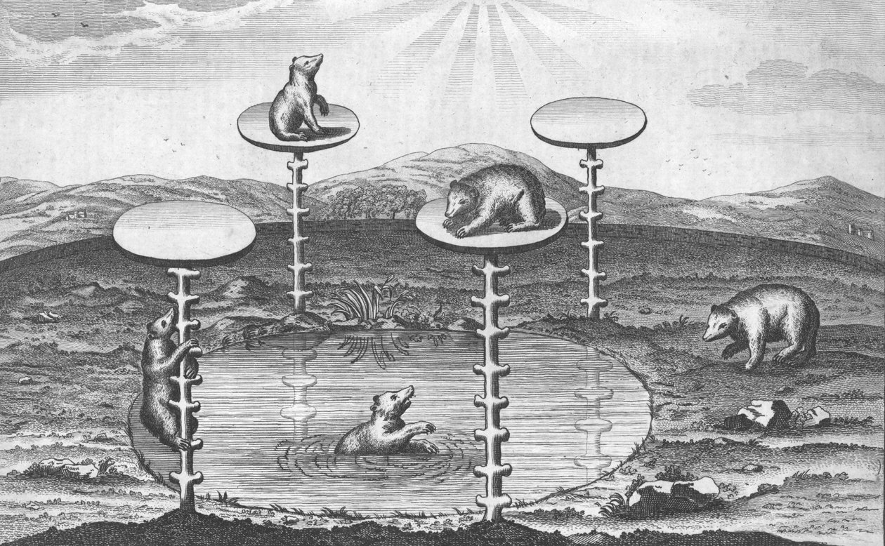 Kilátás a szász választófejedelemről, Drezdában, Németországban, c1673. alkotó: Unbekannt