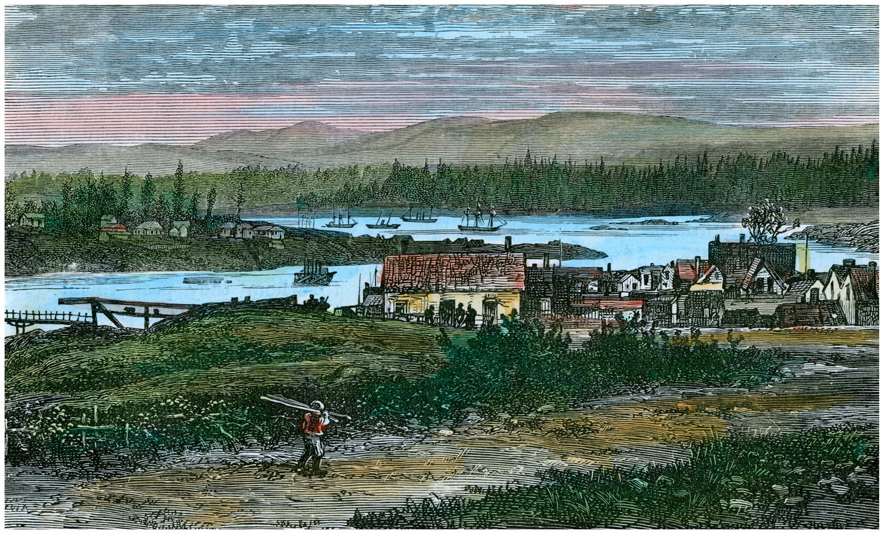 Kilátás Victoria nyugati külvárosára, Vancouver Island, British Columbia, Kanada, c1880 alkotó: Unbekannt