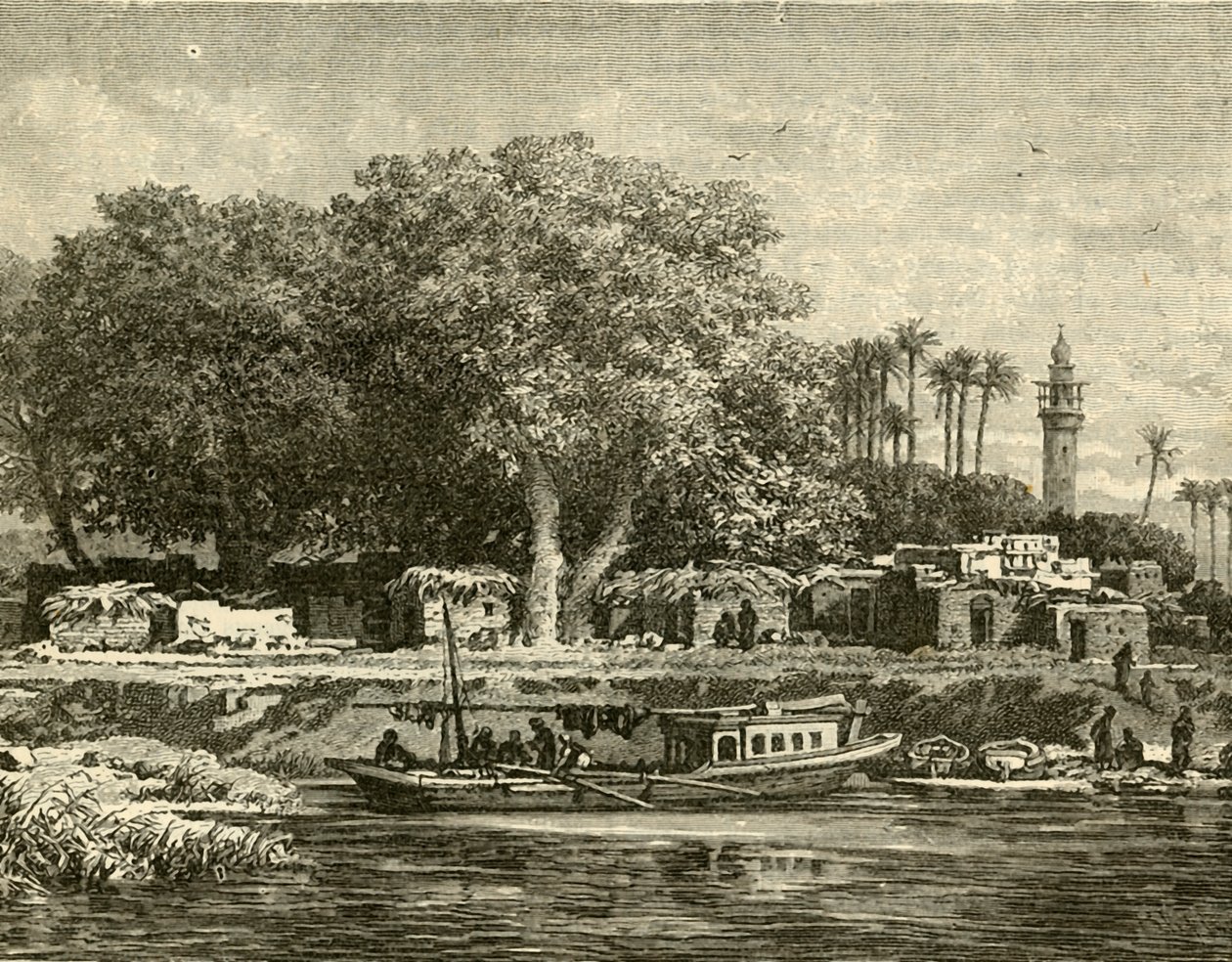 Kilátás a Nílus deltájára, 1890. alkotó: Unbekannt