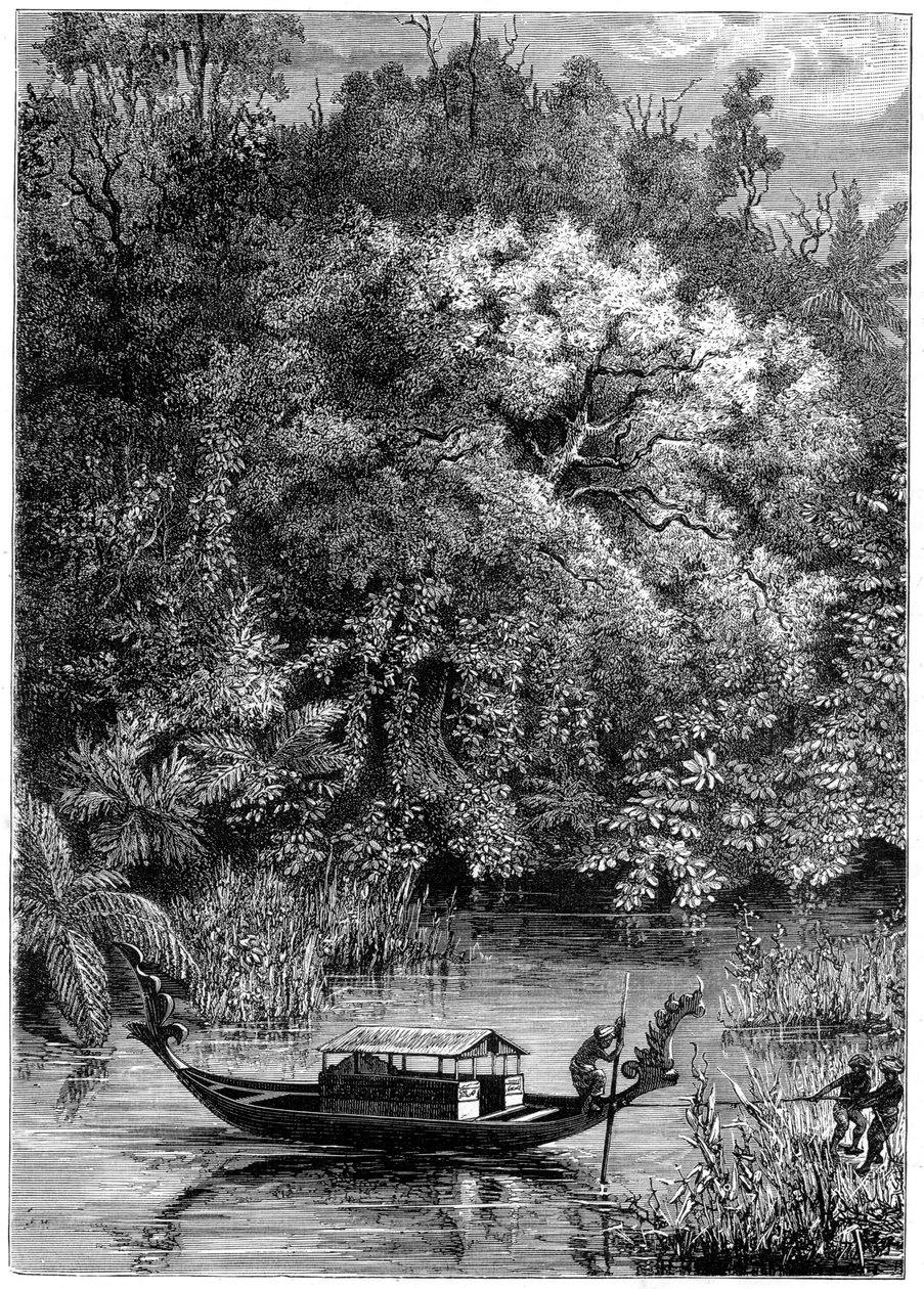 Kilátás a Dodinga folyóra, Új-Guinea, 1877 alkotó: Unbekannt