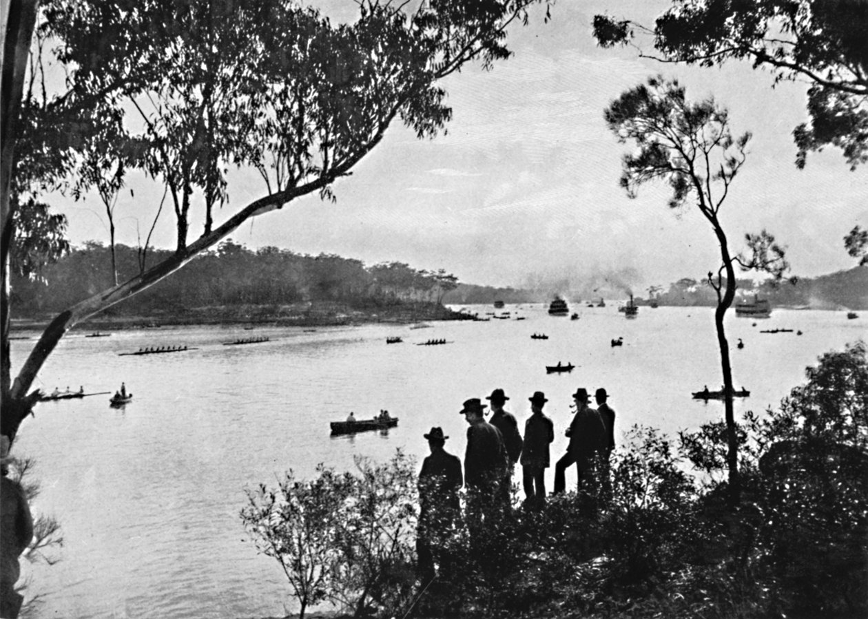 Kilátás a Parramatta folyóra, c1900. alkotó: Unbekannt