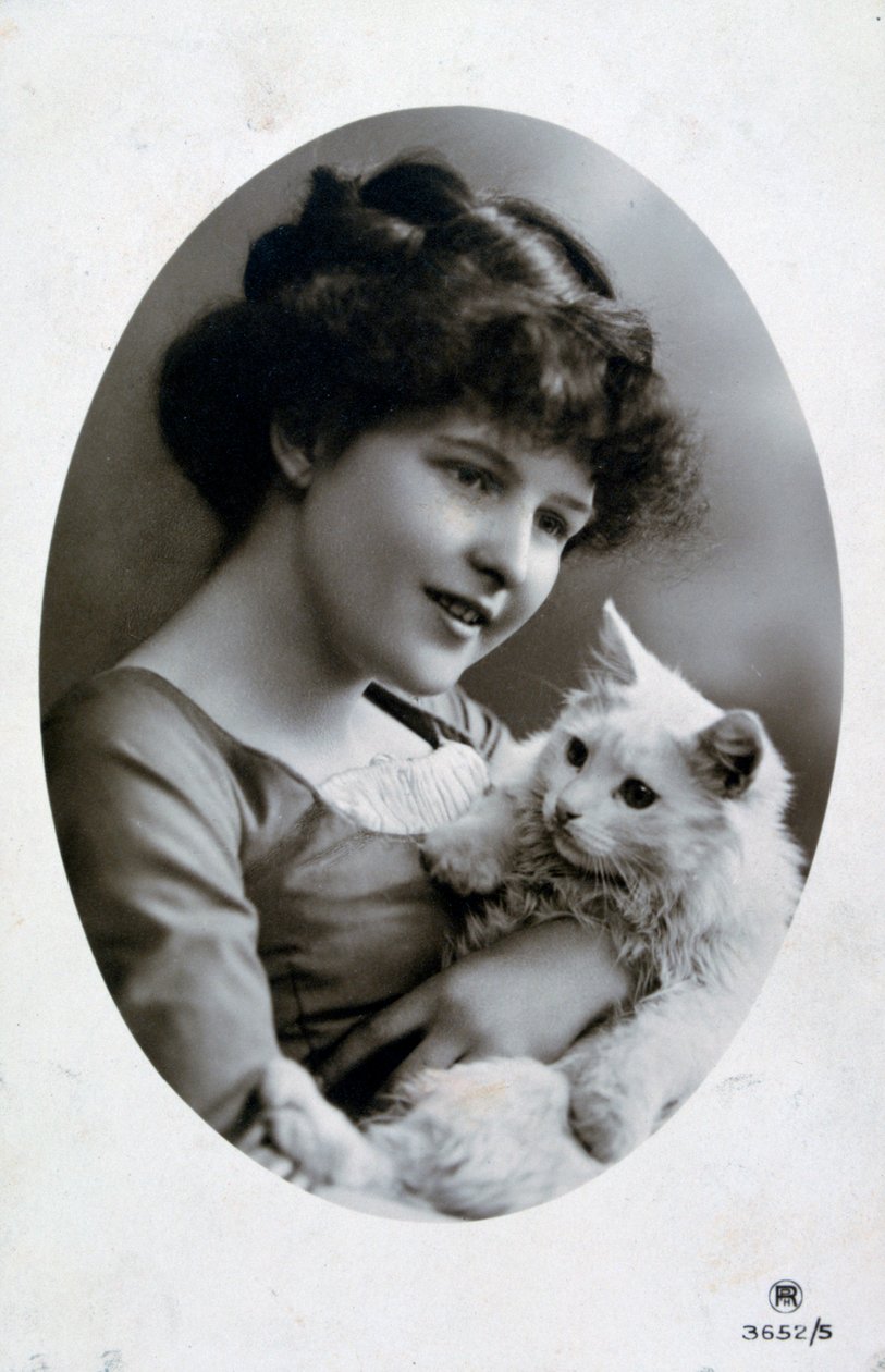 Vintage francia képeslap, c1900 alkotó: Unbekannt