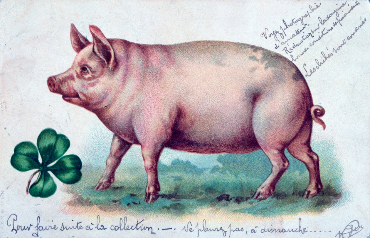Vintage francia képeslap, c1900 alkotó: Unbekannt