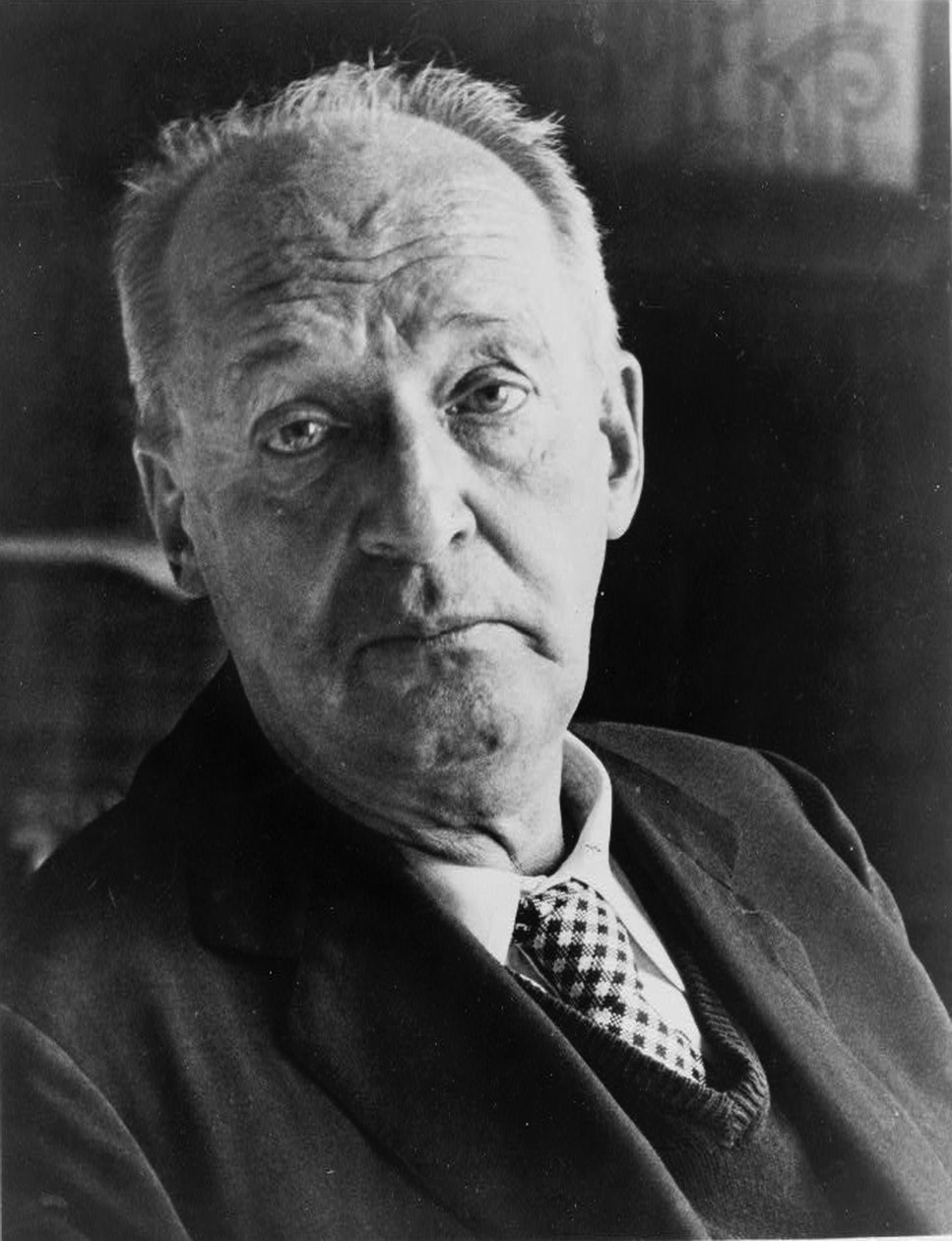 Vlagyimir Nabokov, orosz író, XX. század alkotó: Unbekannt