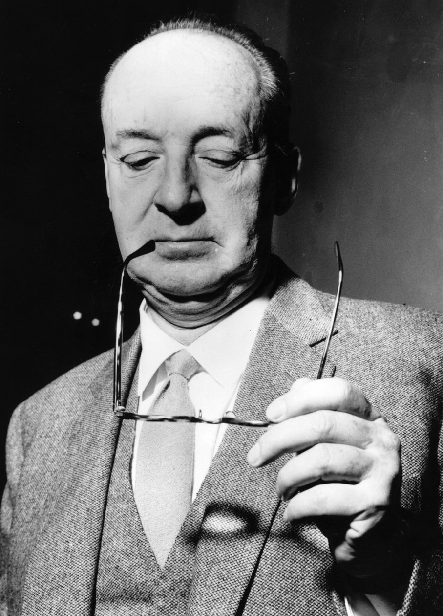 Vlagyimir Nabokov, orosz író, XX. század alkotó: Unbekannt