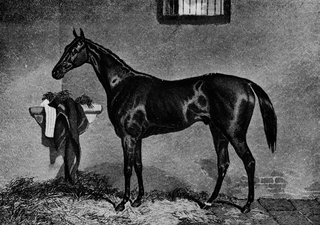 Voltigeur, 1847-1874, 1911 alkotó: Unbekannt