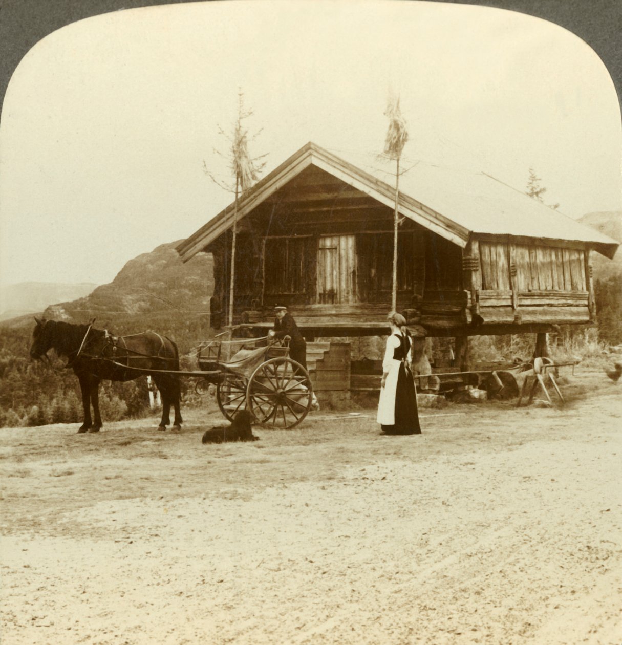 Utasokra várva az úton Bolkesjo közelében, Norvégiában, c1905. alkotó: Unbekannt