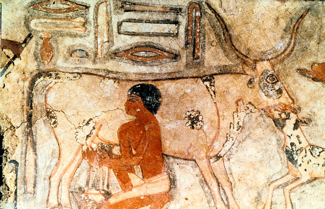 Falfestmény Methethi sírjából, Szakkara, Ókori Egyiptom, Óbirodalom, Kr.e. 2371-2350 alkotó: Unbekannt