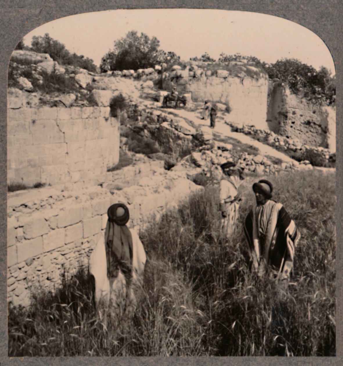 Augustus falai, Samaria, 1900 alkotó: Unbekannt
