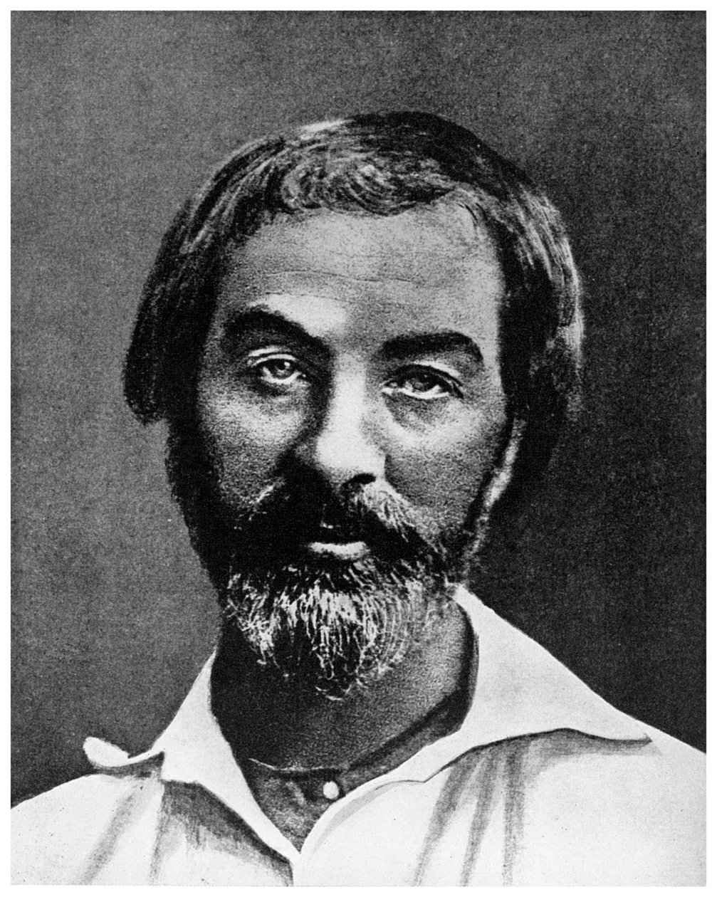 Walt Whitman amerikai költő, XIX. század 1956 alkotó: Unbekannt