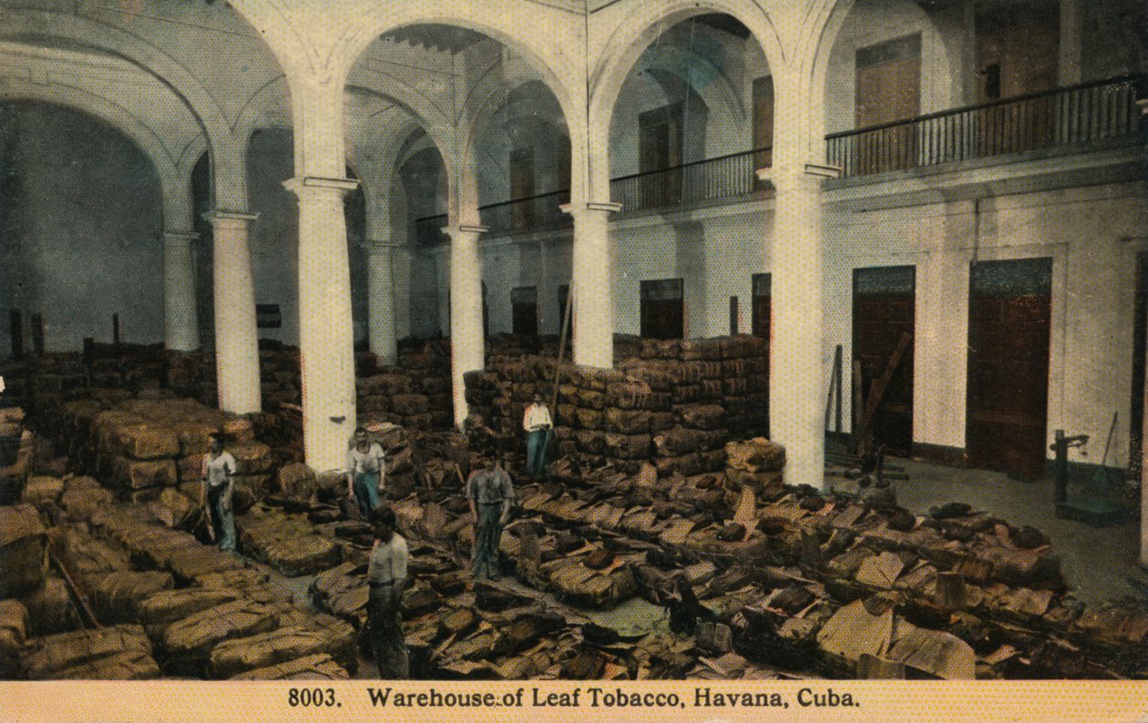 Raktár Leaf Tobacco, Havanna, Kuba, c1910 alkotó: Unbekannt