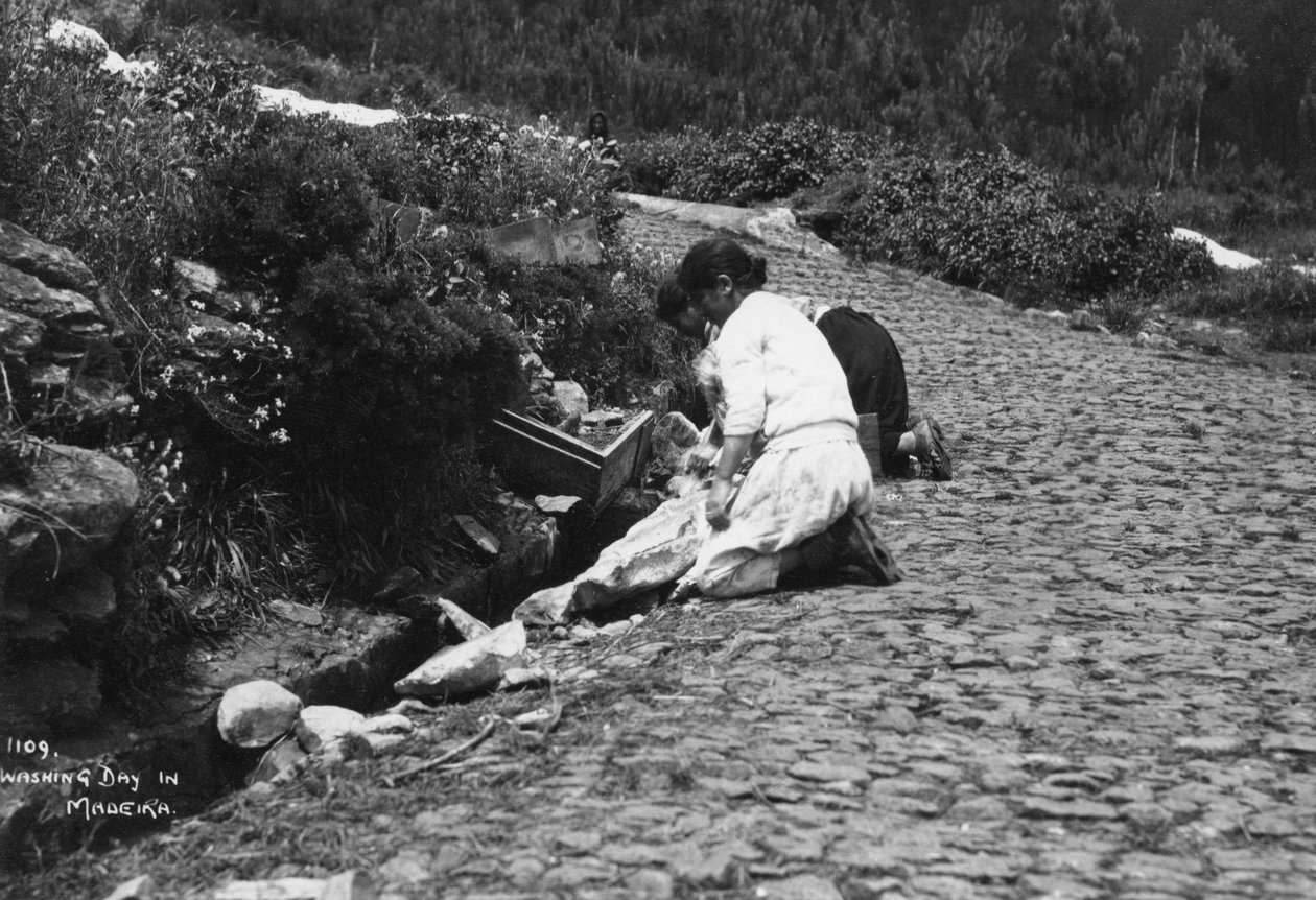 Mosónap Madeirán, Portugáliában, az 1920-as évektől az 1930-as évekig alkotó: Unbekannt