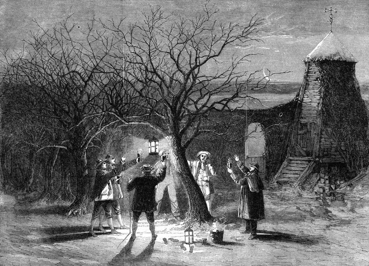Vergő almafák forró almaborral Devonshire-ben 1861. tizenkettedik előestéjén alkotó: Unbekannt