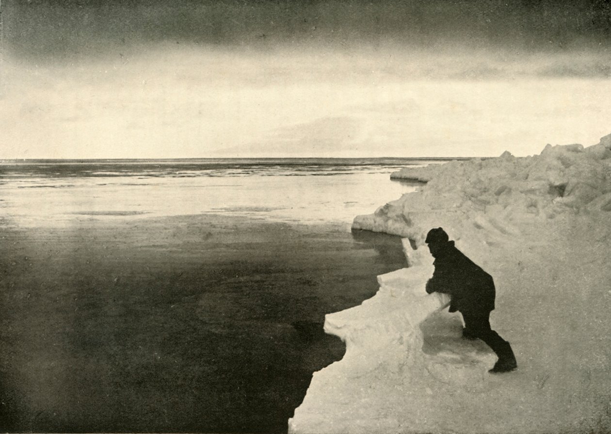 Fókák figyelése a jégszélen, c1908, 1909. alkotó: Unbekannt
