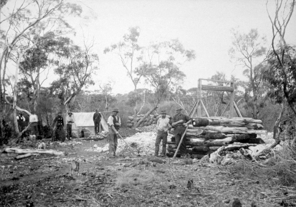 Vízesés aranybánya, Boorara, Kalgoorlie, Nyugat-Ausztrália, 1896 alkotó: Unbekannt