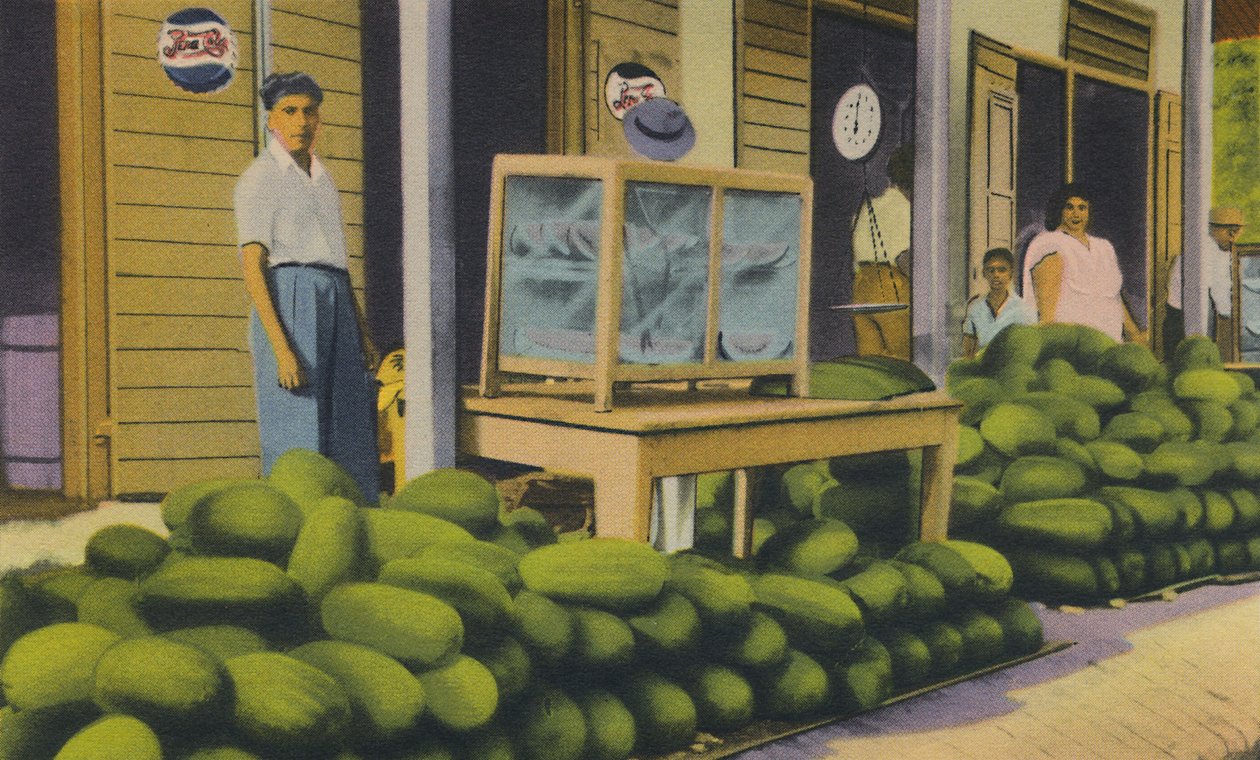 Görögdinnye eladó, Trinidad, B.W.I., 1940-es évek. alkotó: Unbekannt