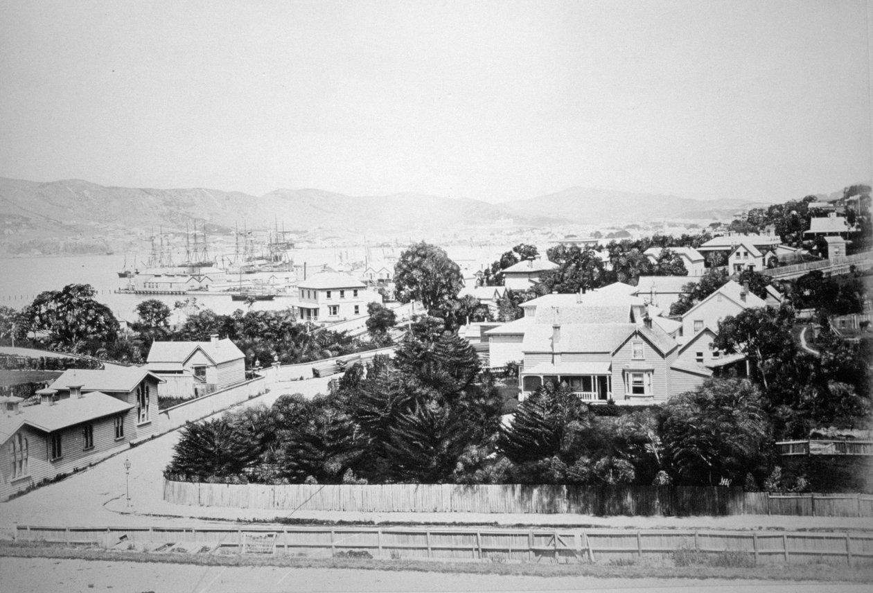 Wellington, Új-Zéland, 1875 alkotó: Unbekannt