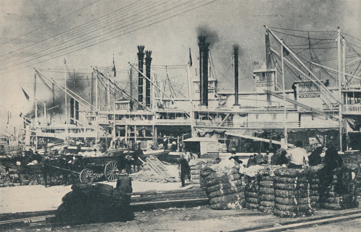 Amikor Cotton Was Loaded, dúcok és füstölők erdeje, 1937 alkotó: Unbekannt