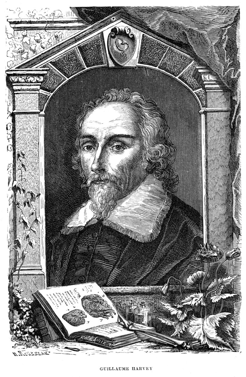 William Harvey 1578-1657 angol orvos, XVII. század alkotó: Unbekannt