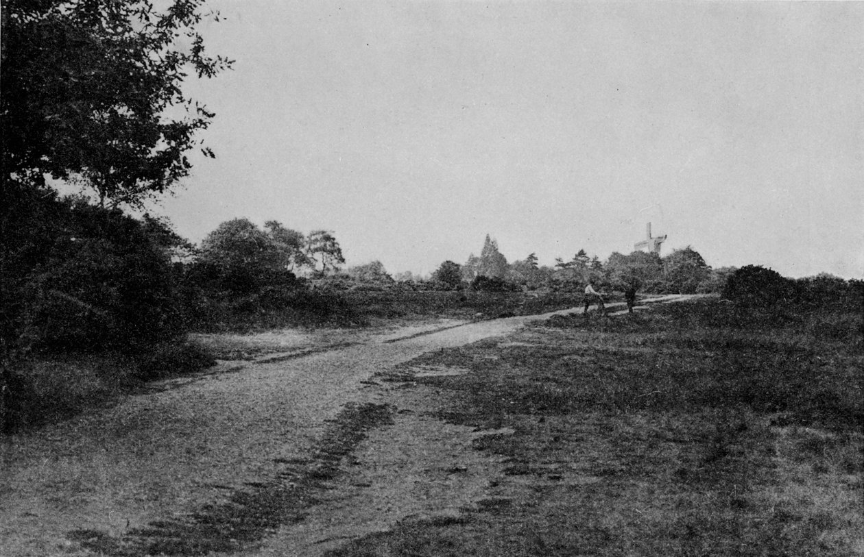 Wimbledon Common és a szélmalom, 1900, 1912 alkotó: Unbekannt