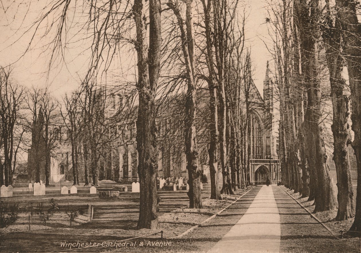 Winchester Cathedral and Avenue, Hampshire, 20. század eleje. alkotó: Unbekannt