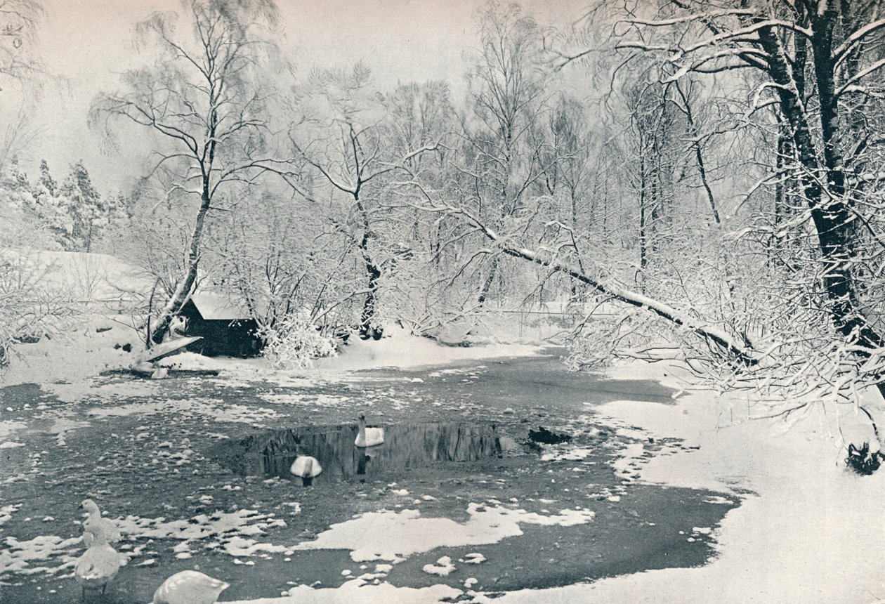 Téli kilátás a Skansen skanzenre, c1900 alkotó: Unbekannt