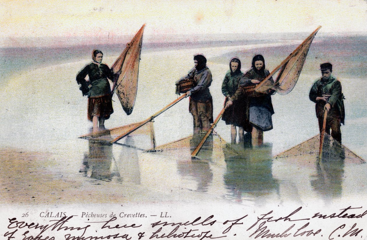 Női garnélahalászok, Calais, 1905 alkotó: Unbekannt