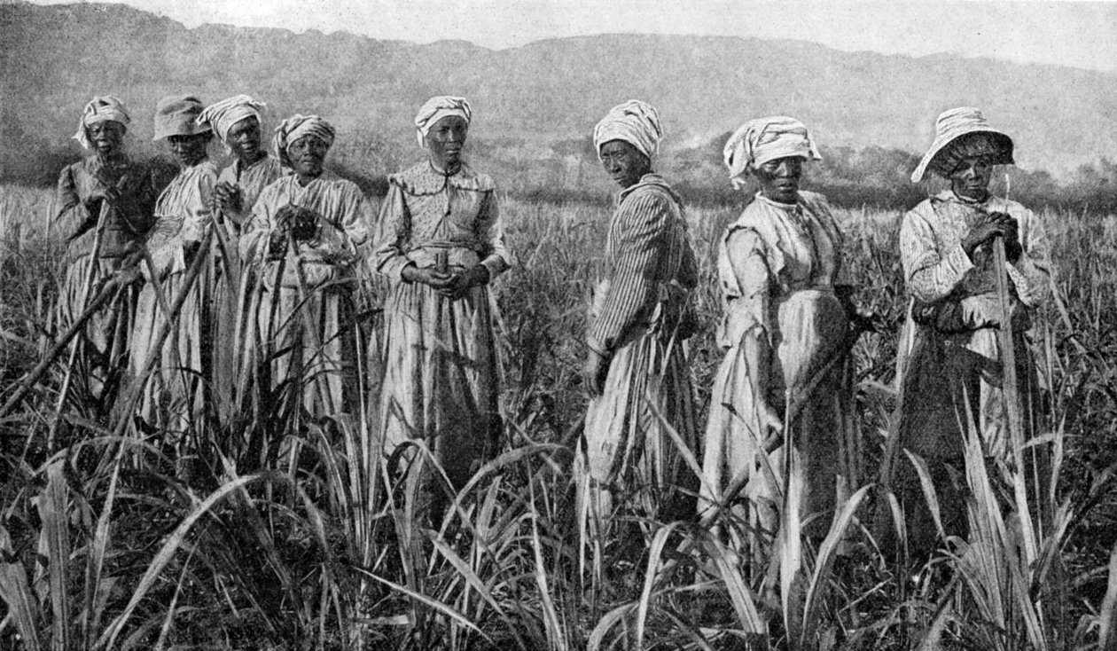 Fiatal cukornádat gondozó nők Jamaicában, 1922 alkotó: Unbekannt