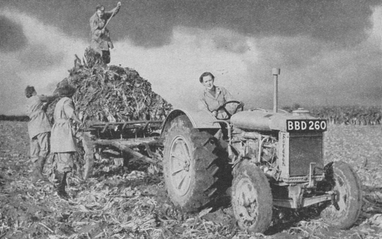 A női szárazföldi hadsereg termést emel, második világháború, 1940 alkotó: Unbekannt