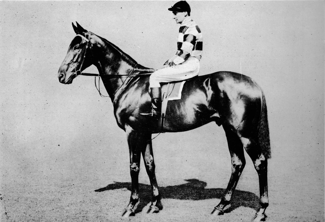 Gyapjútekerő, 1904-1928, 1911 alkotó: Unbekannt