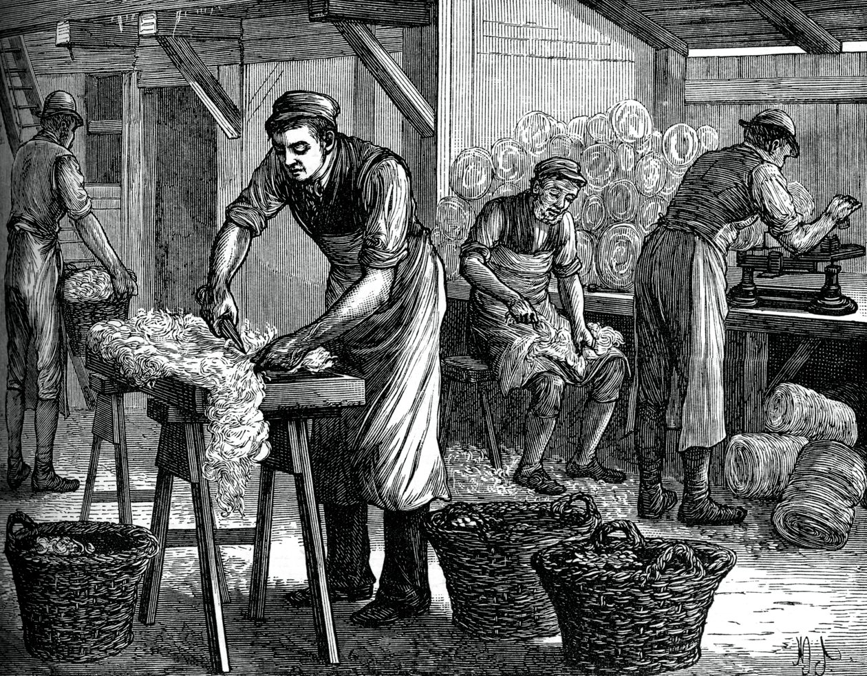 Gyapjúválogatók, c1880 alkotó: Unbekannt