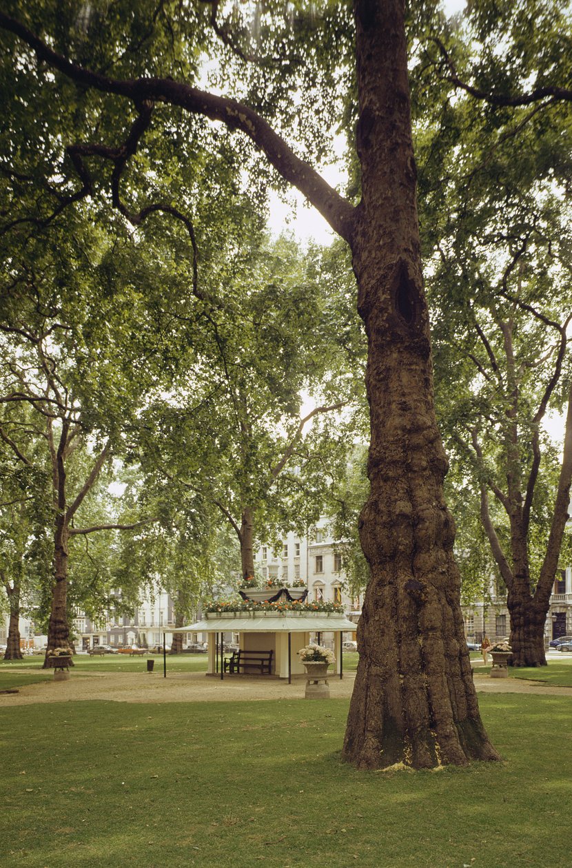 Berkeley Square, London W1 alkotó: Unbekannt Unbekannt