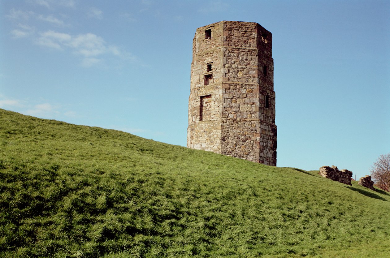 Cow Tower, Berwick, Northumberland alkotó: Unbekannt Unbekannt
