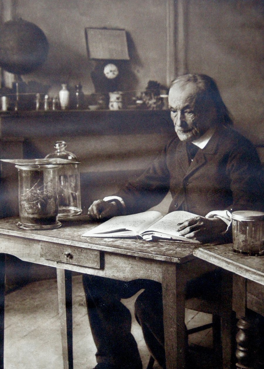 Jean-Henri Fabre, 1913 alkotó: Unbekannt Unbekannt