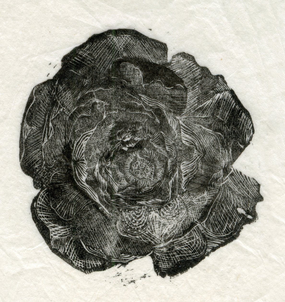 Pine Rose, 2014, alkotó: Unbekannt Unbekannt