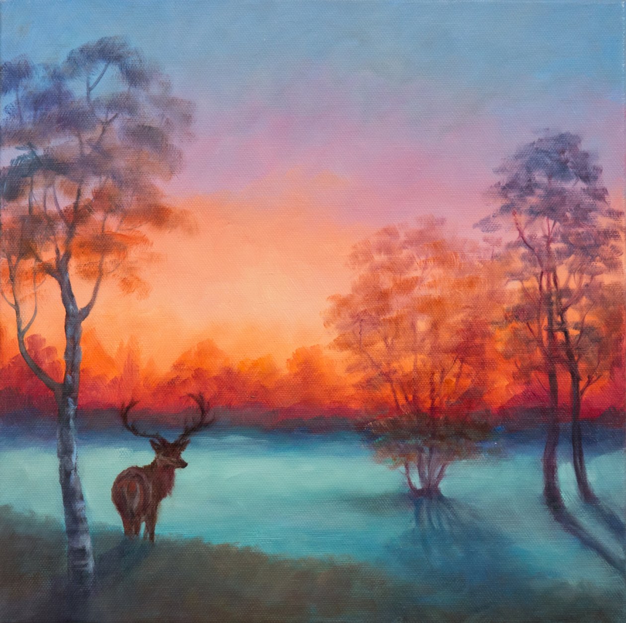 Winter Glow, 2017, alkotó: Unbekannt Unbekannt