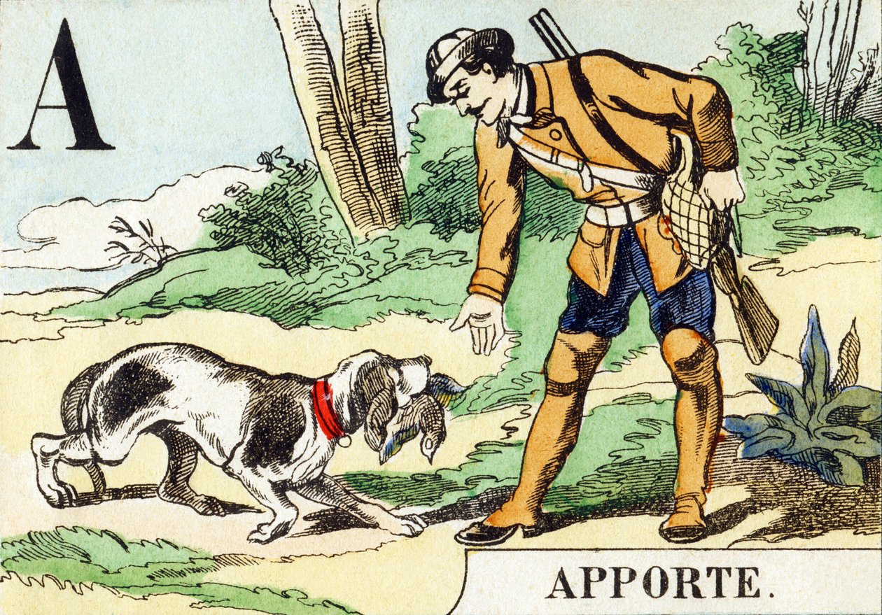 A: Apporte – A vadászábécé, 1890 körül (metszet) alkotó: Unbekannt