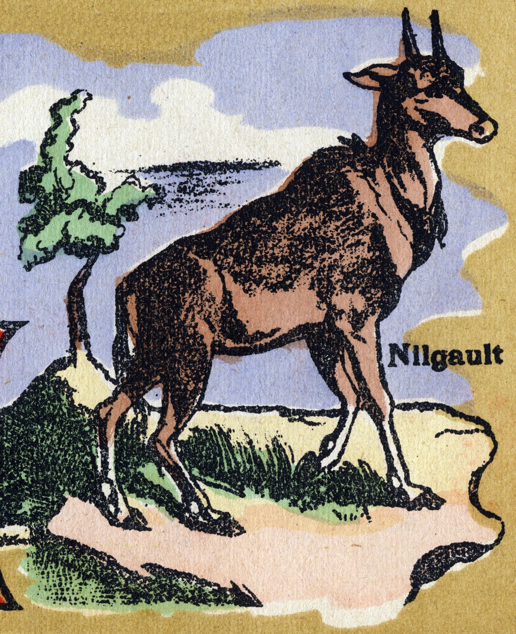 Egy Nilgault. Illusztrált ábécé. A képek a 20. század elején Jarville-Nancyben újra egyesültek. Mérete: 40x29 cm. Litográfia bisztre alapon alkotó: Unbekannt