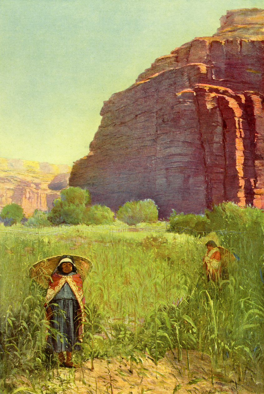 A Supai kukoricaföld - Cataract Canyon alkotó: Unbekannter Künstler