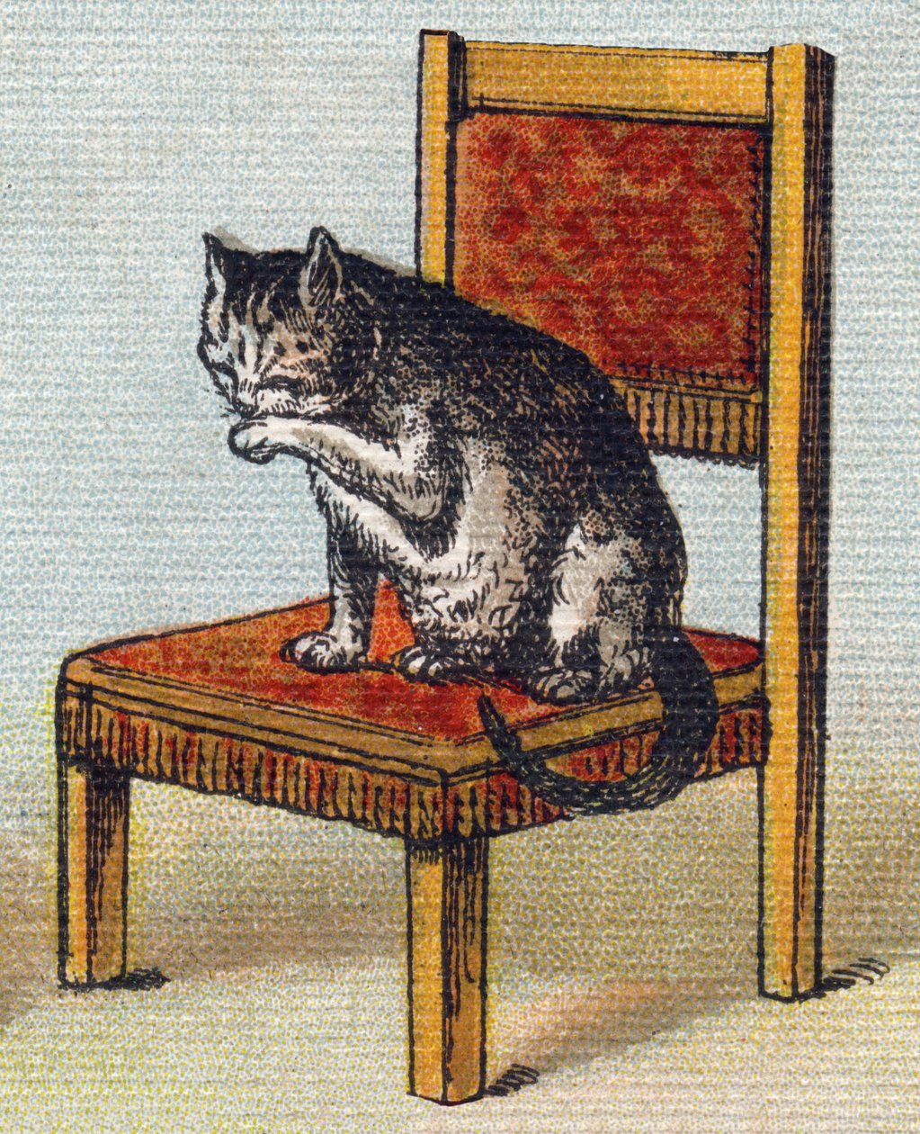 Egy macska egy széken. Metszet "Alphabet de ma petite fille". Bernardin-Bechet és Fils, könyvkereskedő-kiadók, Párizs, 1895 körül. Törhetetlen album vásznon. Bibliotheque des Bebes. 12 oldal. Olvasási módszert és szemléltető abecedát tartalmazó album alkotó: Unbekannt